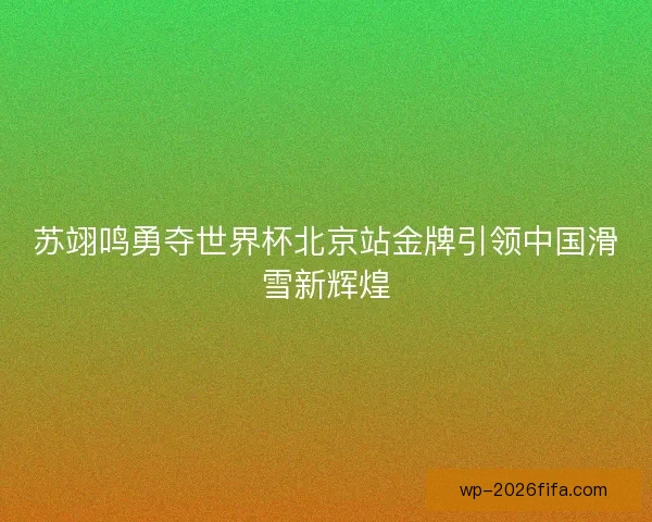 苏翊鸣勇夺世界杯北京站金牌引领中国滑雪新辉煌